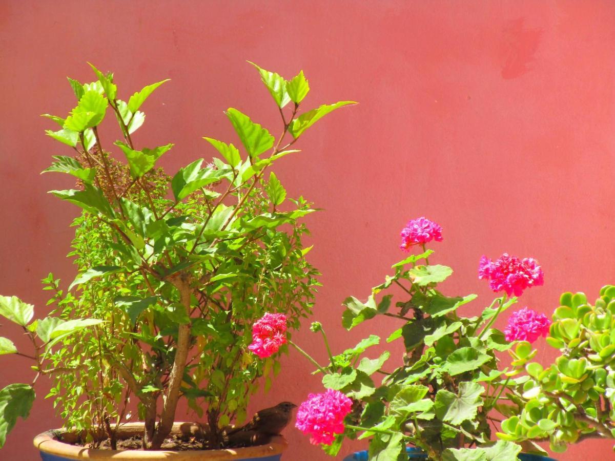 Casa Mogador Apartamento Essaouira Exterior foto