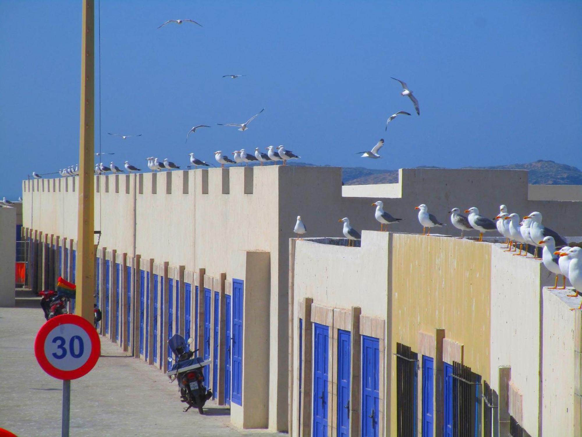 Casa Mogador Apartamento Essaouira Exterior foto